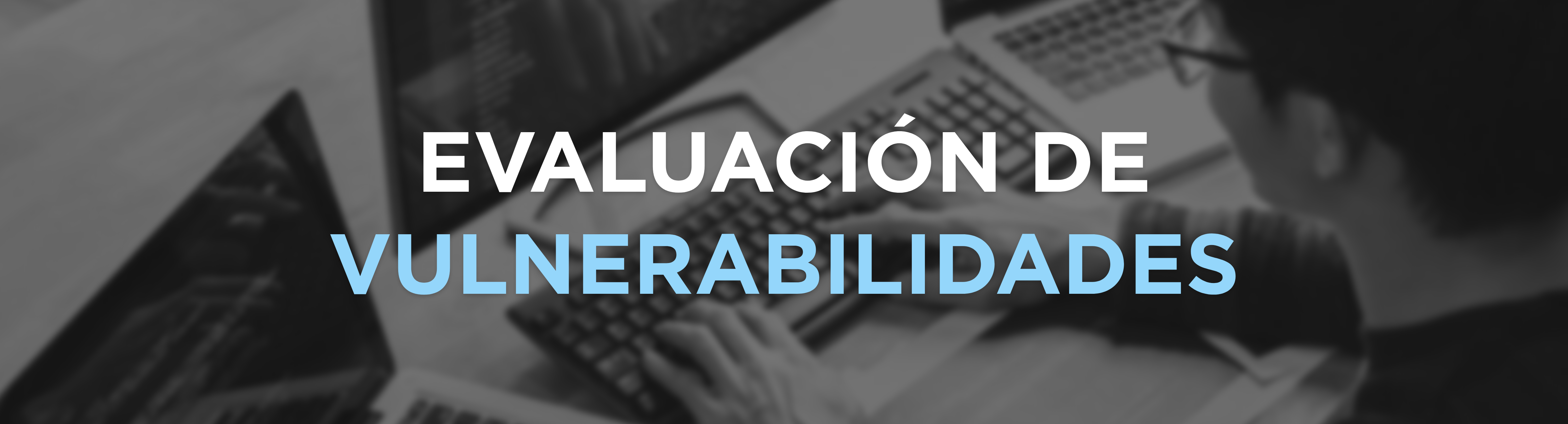 Imágen de servicio Evaluación de vulnerabilidades