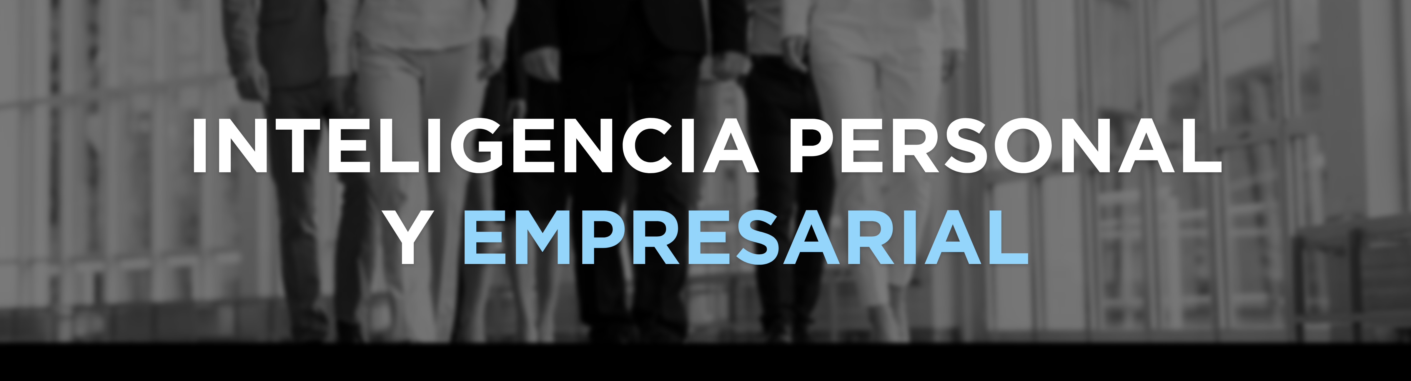 Imágen de servicio Inteligencia Personal y Empresarial